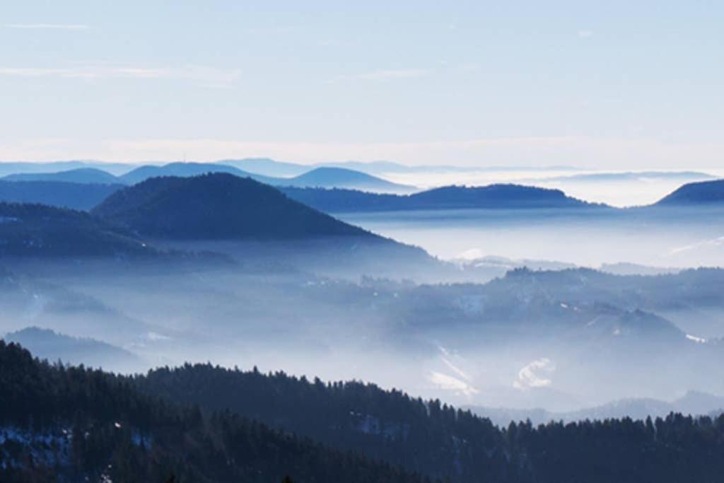 Schwarzwald - Gemuetliches 2 Zimmer Apartment! Dunningen Bagian luar foto